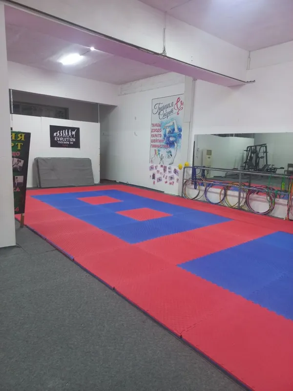 Tatami dayan sotiladi holati yaxshi 3 Tatami dayan sotiladi holati yaxshi 3