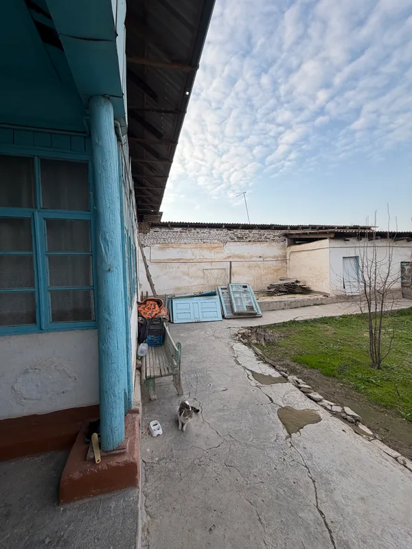 Hoxli sotiladi 8 sotiq qarshi shaxar 2