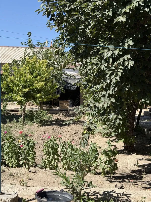 navoi citydan hovli 1