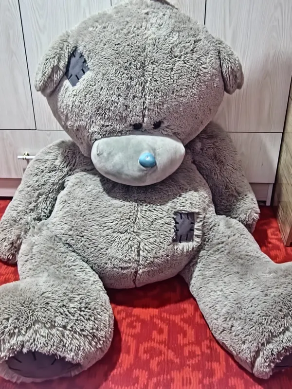 Teddy ayiq
