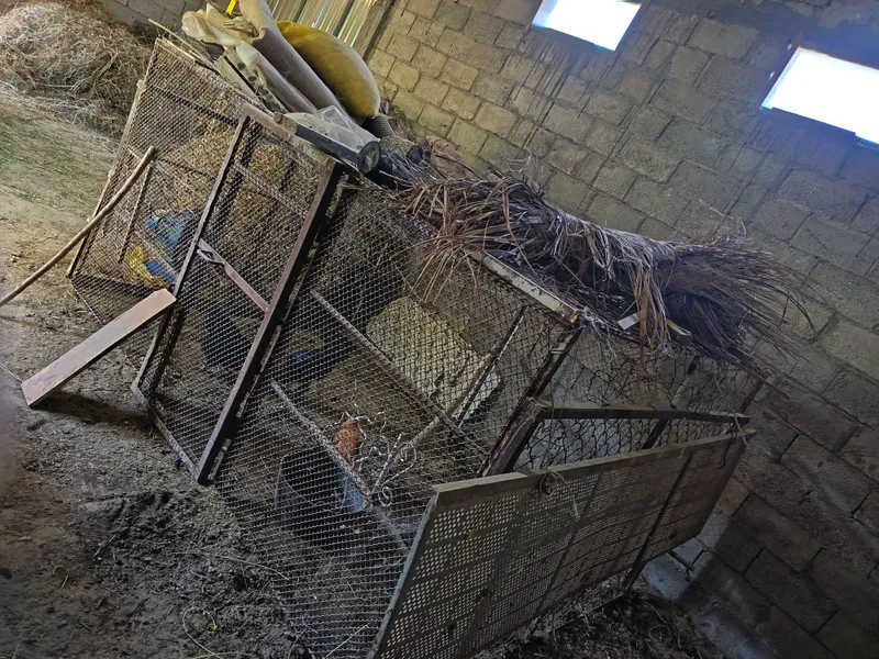 Куй. Вам майда. мол учун тайор..угалок дан килинган — фото 3