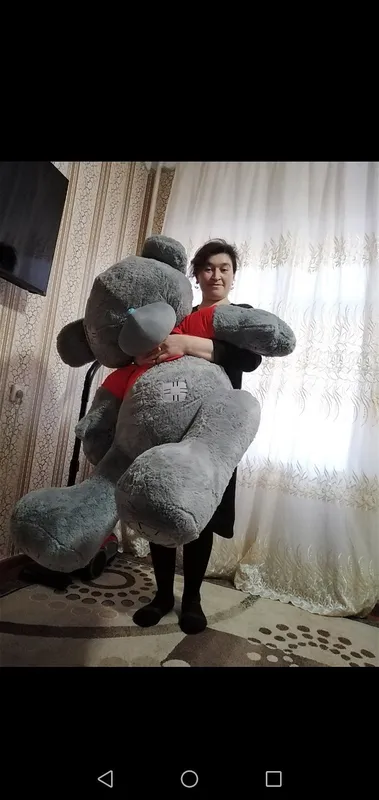 Tedi Ayiq
