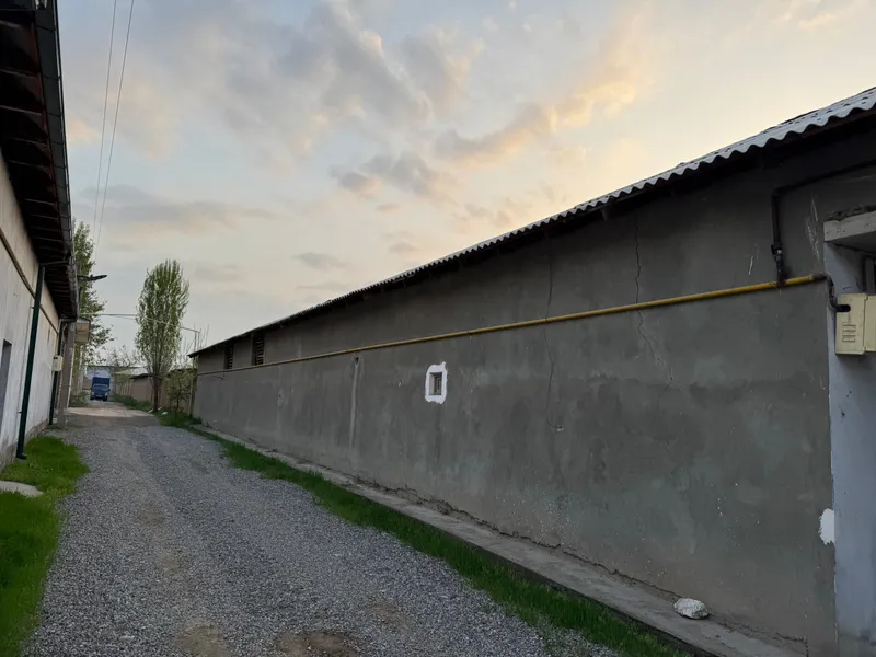 Yangiyolda 20 sotik ferma sotiladi hama sharoit bor — фото 1