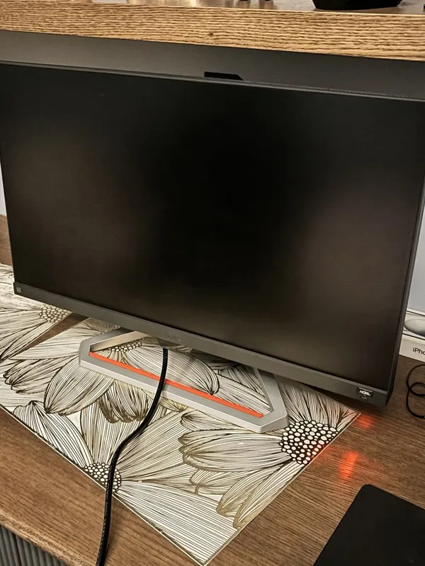 Монитор BenQ ES2510S — фото 2