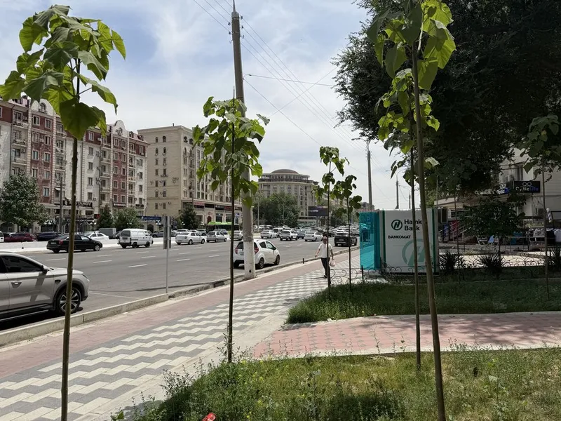 Сухой склад 80 м² в аренду | Яшнабад | Первая линия | Без комиссии 5 Сухой склад 80 м² в аренду | Яшнабад | Первая линия | Без комиссии 5