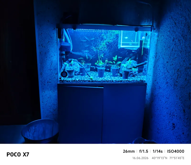 90 litrli akvarium tumbasi bilan 1 90 litrli akvarium tumbasi bilan 1