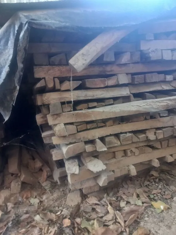 15 кубов обрезного ореха, сухой. Размеры разные.