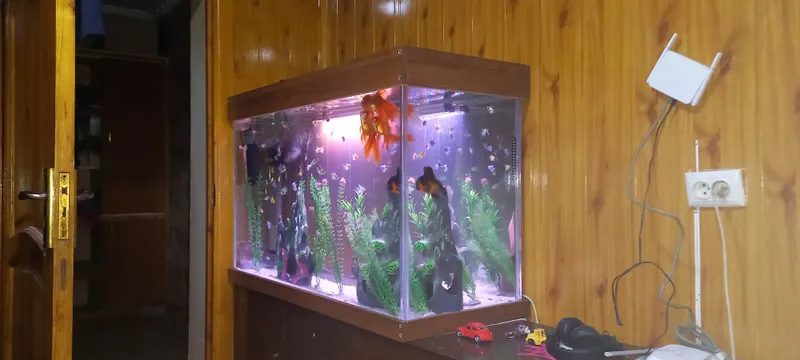 На заказ аквариум, zakazga akvarium yasimiza keliwilgan holda — фото 4