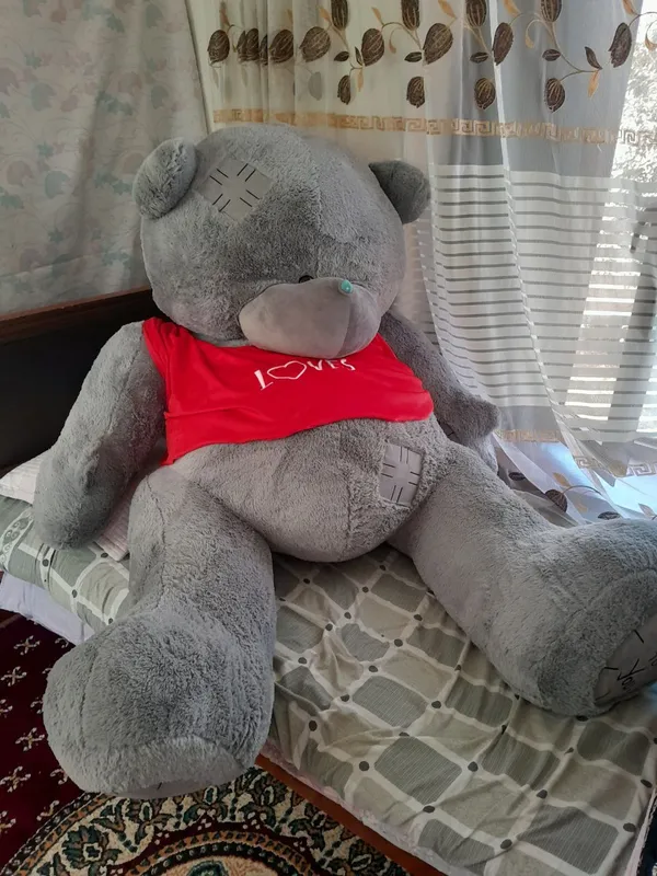 TEDDY AYIQ katasi yangi