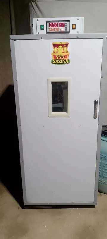 Услуги инкубатора 3