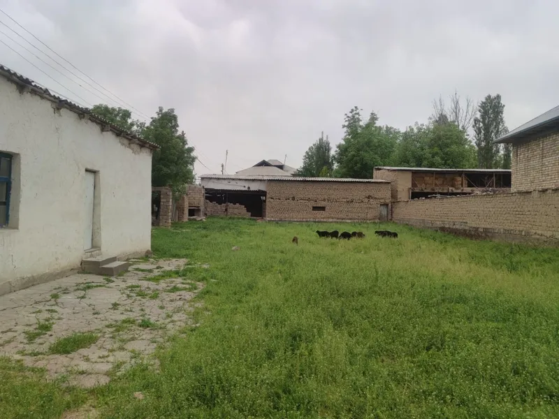 Srochna Ohangaron tumani Eyvalik MFY da joylashgan hovli uy sotiladi. — фото 2