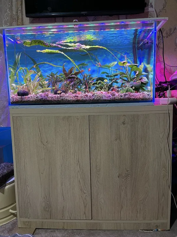 akvarium sotiladi