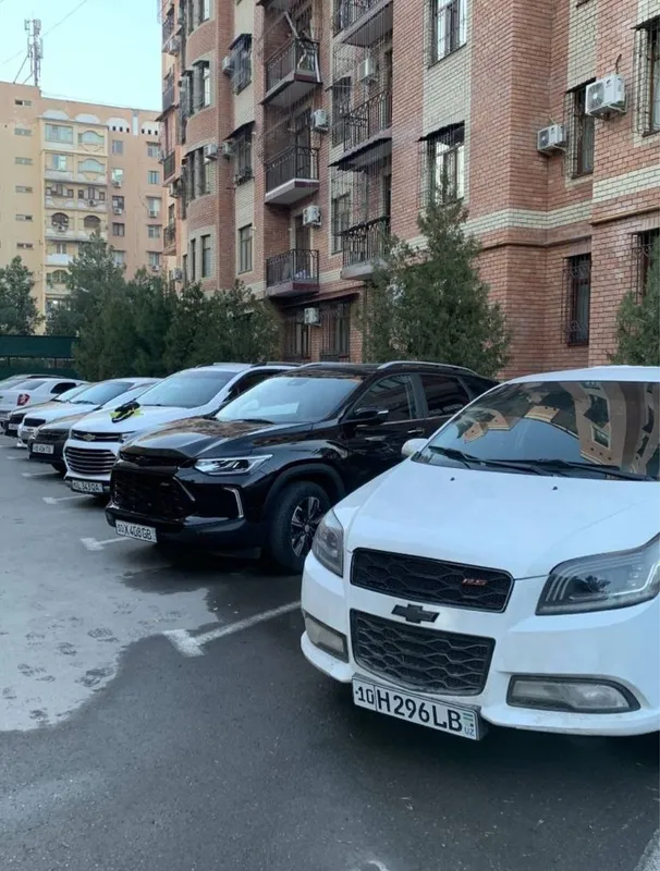 Аренда сухая (Suxoy arenda Toshkent) 2 Аренда сухая (Suxoy arenda Toshkent) 2