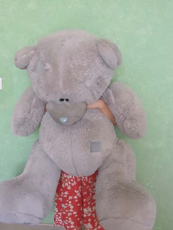 Teddy sotiladi 1 000 000som 1 Teddy sotiladi 1 000 000som 1