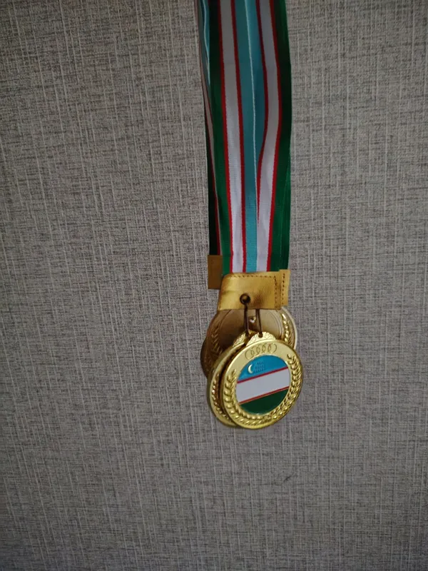 Медали 1 место золото