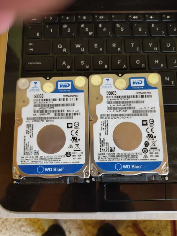 WD 500 GB винтлар сотиладиган WD 500 GB винтлар сотиладиган