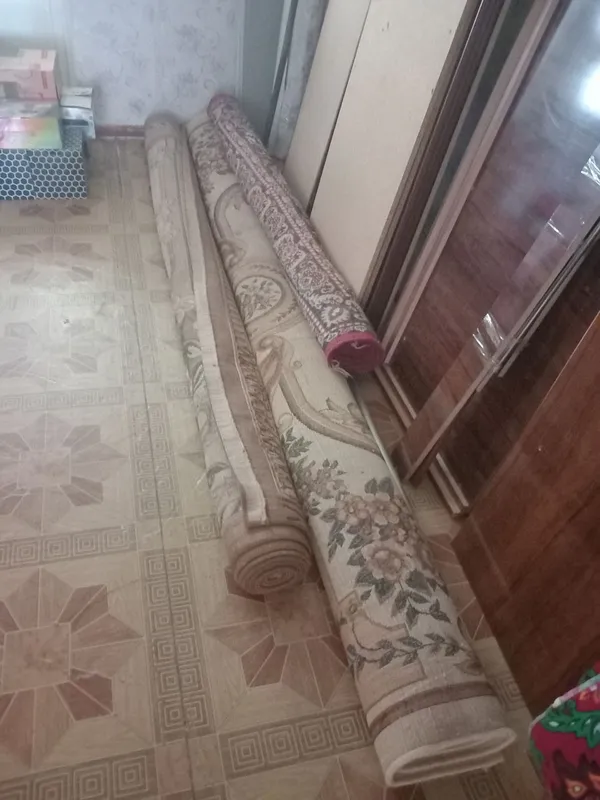 палас палас