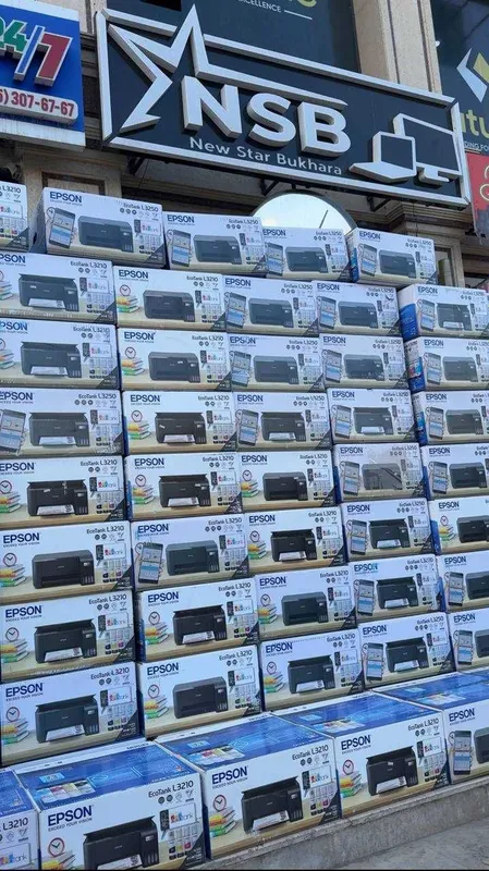 Epson L3200 va L3256