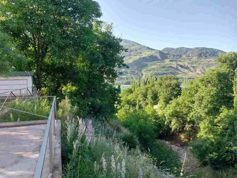Sijjak da Yer narxida tayor dacha 8 sotx srochna sotiladi — фото 7