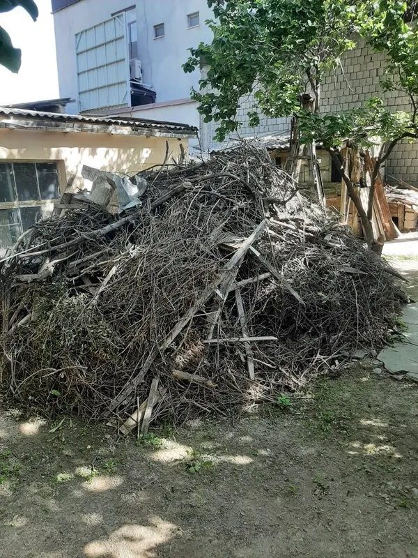 Дрова ветки бесплатно