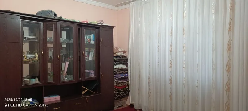 6 sotihli Kotej sotiladi 3