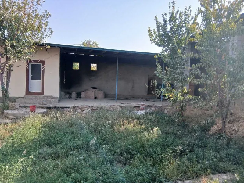 Surxondaryo termiz tuma sabzipoya termiz tuman — фото 4
