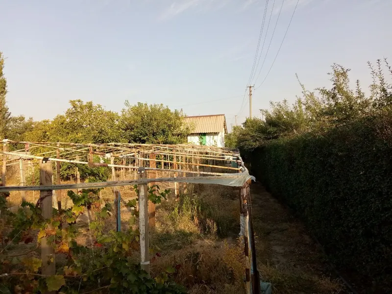 Продаётся дом участок 12 сотак Пскент 3 Продаётся дом участок 12 сотак Пскент 3