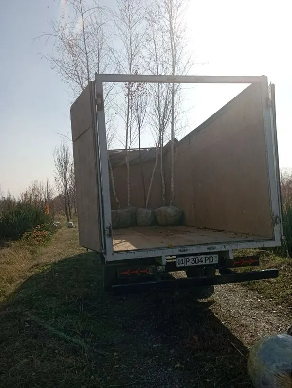 Gazel dastafka xizmati 24/7 6