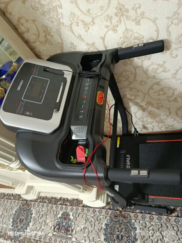 Begovoy darojka genau