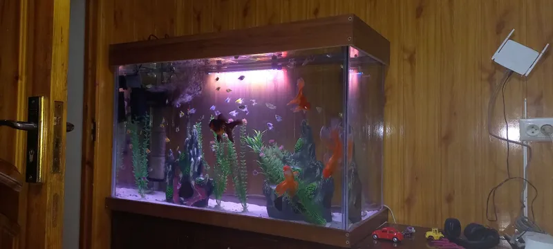 На заказ аквариум, zakazga akvarium yasimiza keliwilgan holda — фото 2