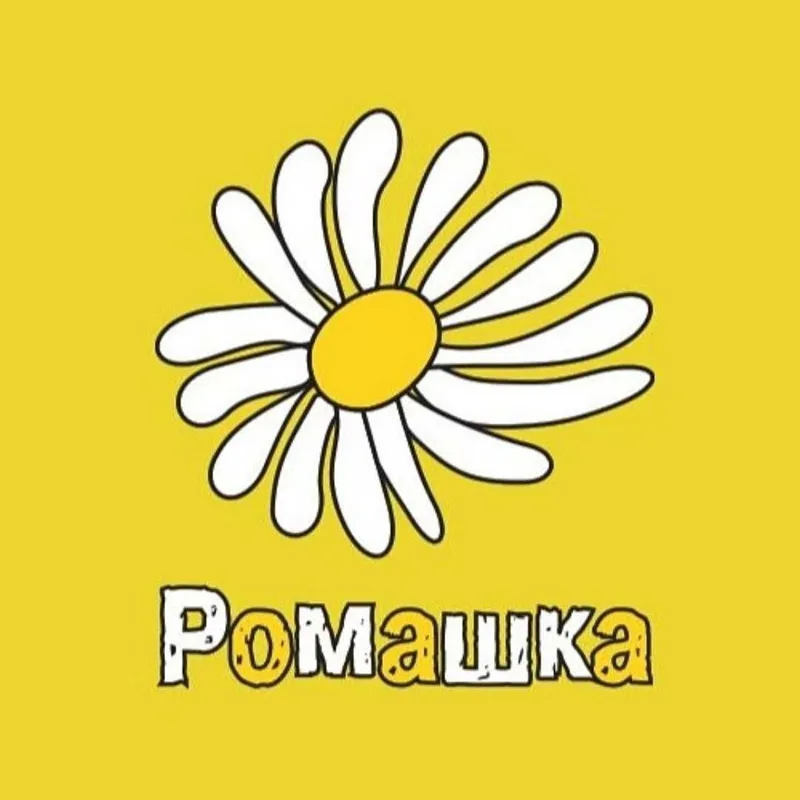 Детский центр "Ромашка"