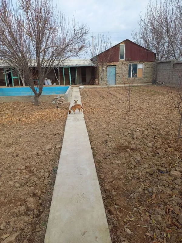 Продается своя дача — фото 4