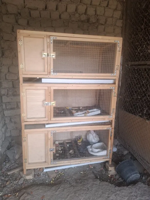 quyonlar uchun qafas 3 etajli raddomi bilan 1 quyonlar uchun qafas 3 etajli raddomi bilan 1