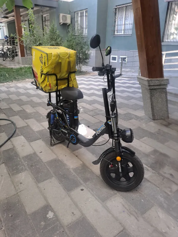 Pentro Monster 1