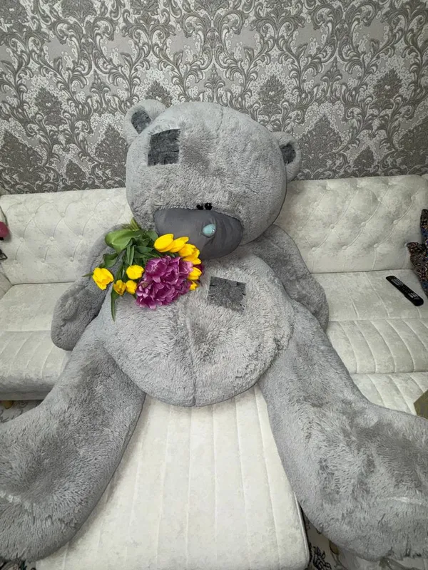 teddy энг каттаси teddy энг каттаси
