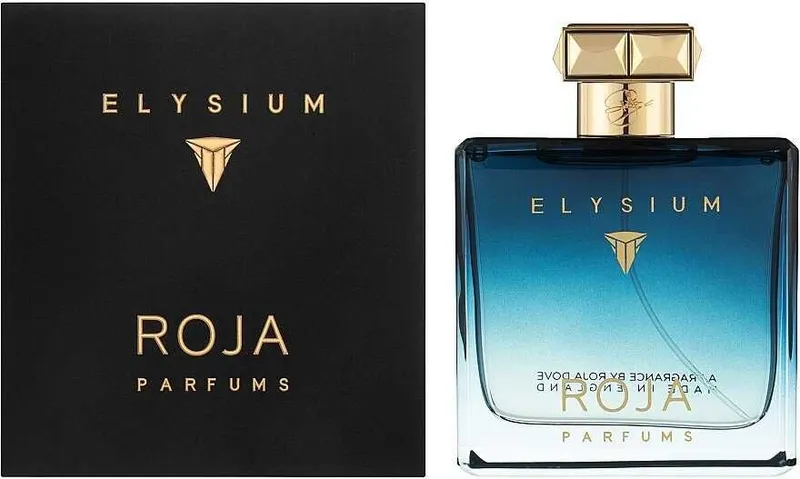 Roja Elysium Pour Homme, Парфюмерная вода произведено в Турции, 100 мл — фото 1