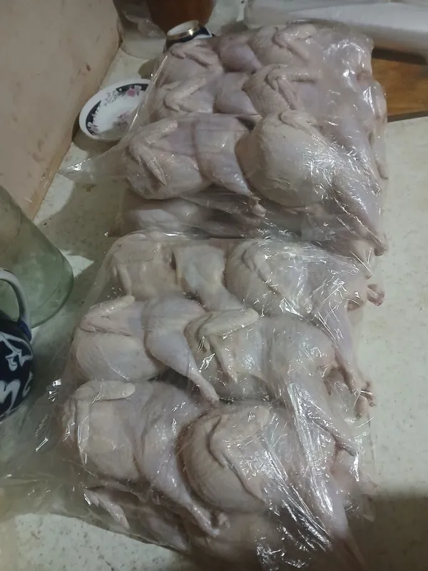 Белый гигант бедана
