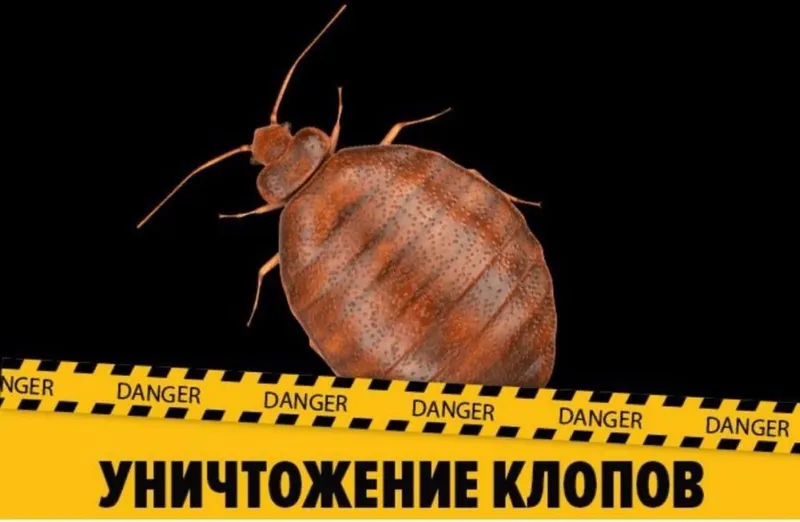 Дезинфекция Dezinfeksiya 2