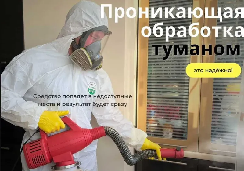 Уничтожение клопов | Дезинфекция хизмати | Клоп клапа таракан бурга — фото 2