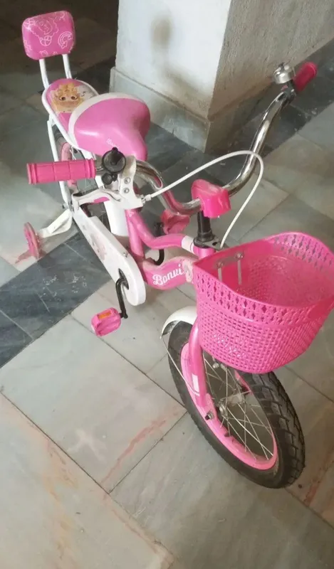 velosiped bor yo‘g‘i bir marta haydalgan — фото 7