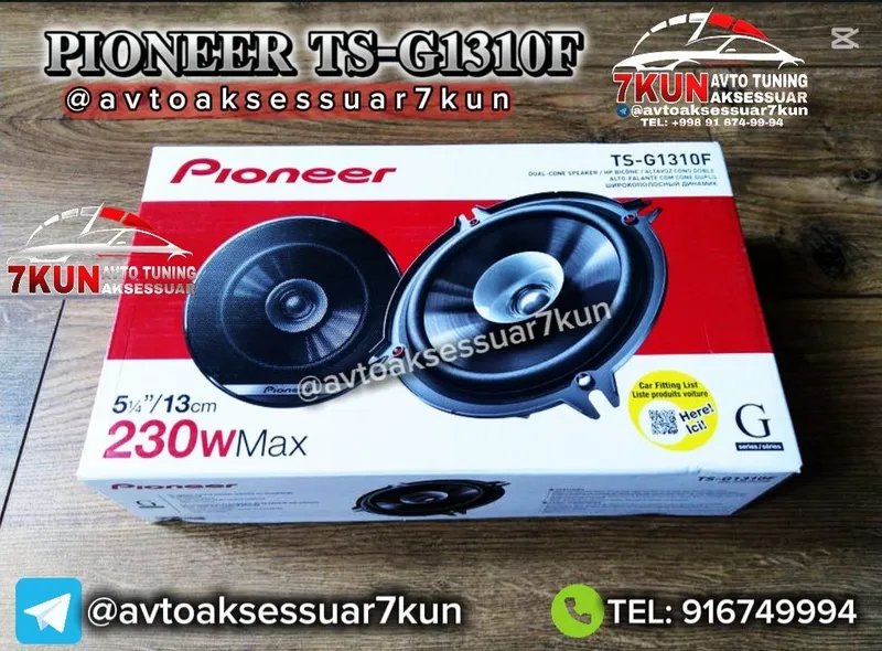 Pioneer TS-G1310 avto audio aparatura