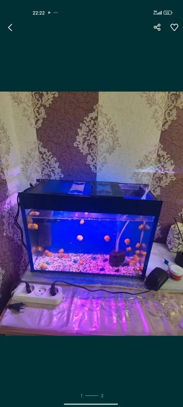 Akvariuma 35Litr komplekt 1