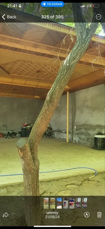 Nazarbek xarakat yer sotiladi 4.3 sotik — фото 2