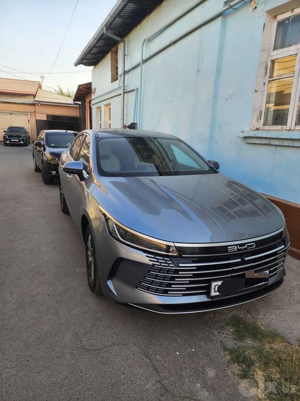 BVD CHAZOR 2024, 2поз ЛЮКС 1 BVD CHAZOR 2024, 2поз ЛЮКС 1