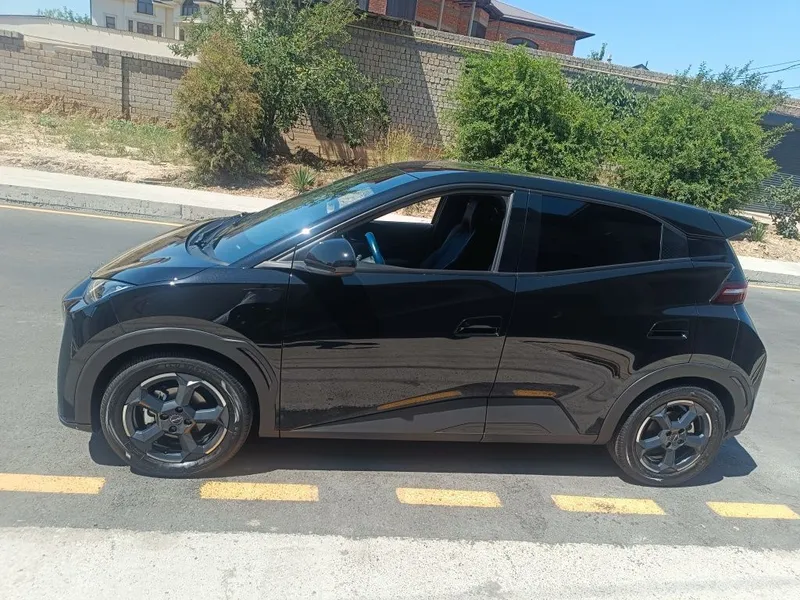 BYD seagull qora 3 BYD seagull qora 3