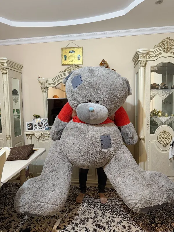 Teddy sotiladi yengi