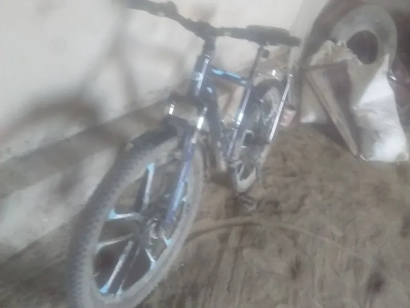 velosiped bonvi 2