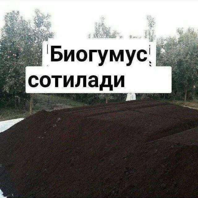 Калифорния кизил ёмгир чувалчанглари — фото 2