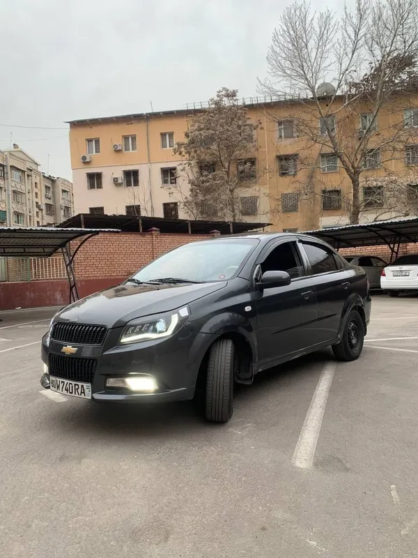 Suxoy arenda сухая аренда — фото 4