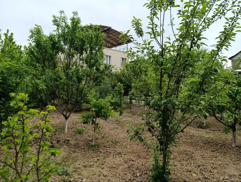 Паркет дача, 12 сот, дом 200 кв.м + отдельно 70 кв. м, 150 000 у.е.